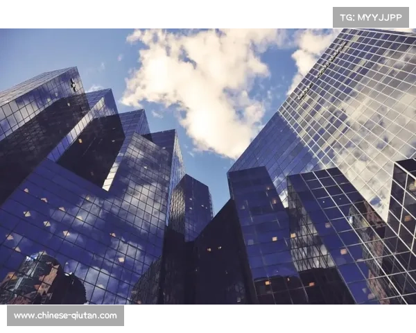 巴西银行注资重塑品牌 巴超博尔图队更名迈向新篇章